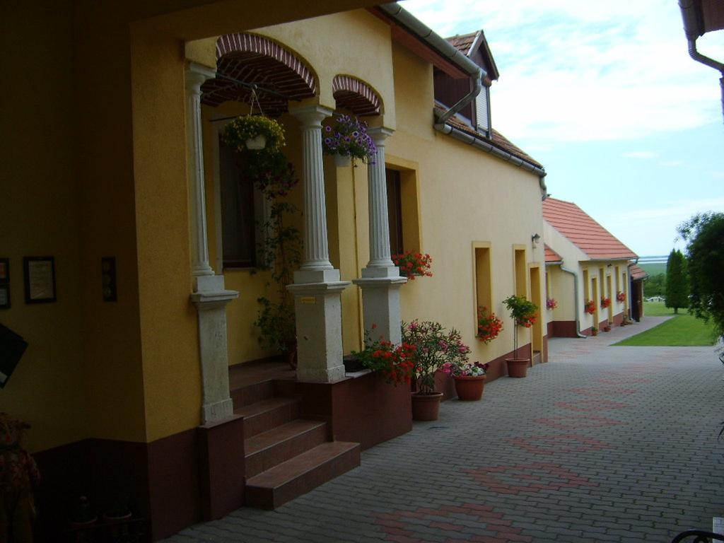 Szuts Panzio Bed & Breakfast Fertorakos Ngoại thất bức ảnh