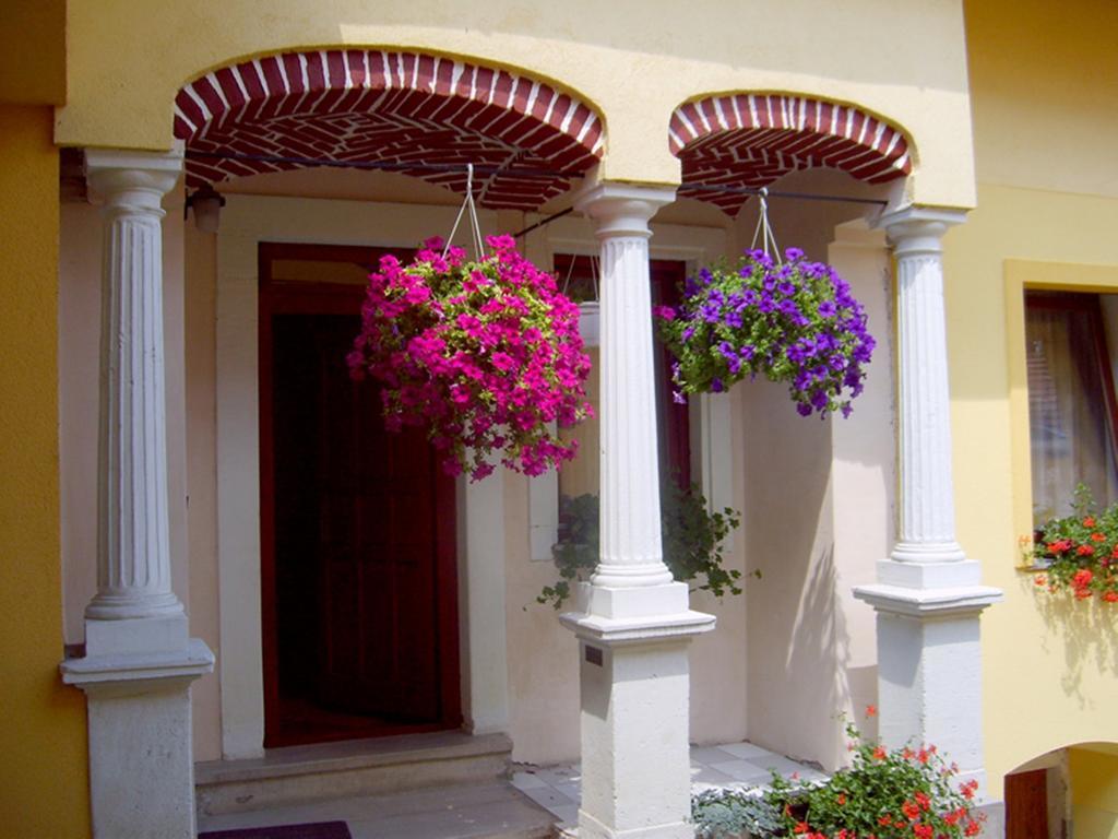 Szuts Panzio Bed & Breakfast Fertorakos Ngoại thất bức ảnh